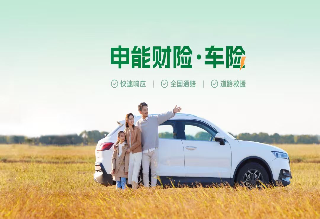 公司新闻与动态